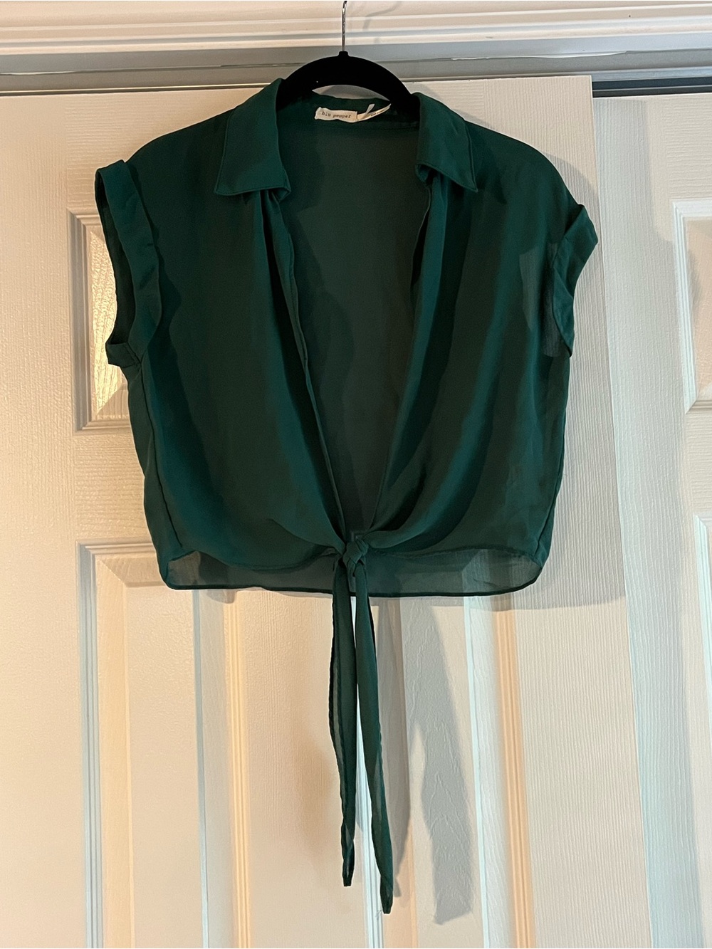 Blu Pepper Emerald Green Sheer Tie-Front Crop Top